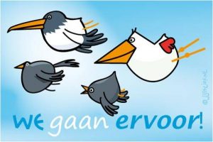 ervoor gaan