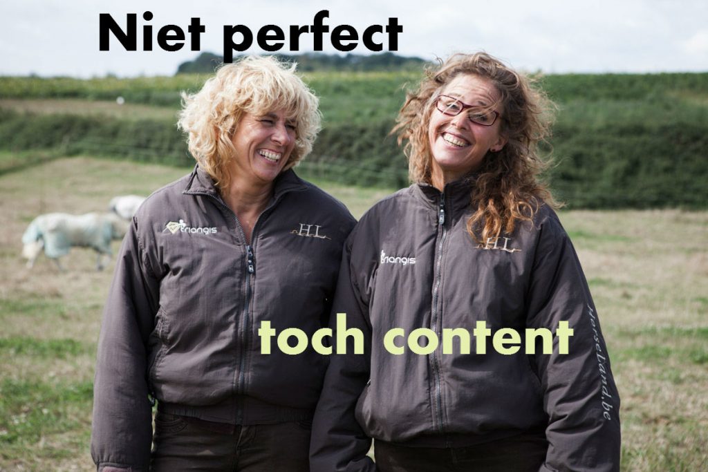 Niet perfect toch content2